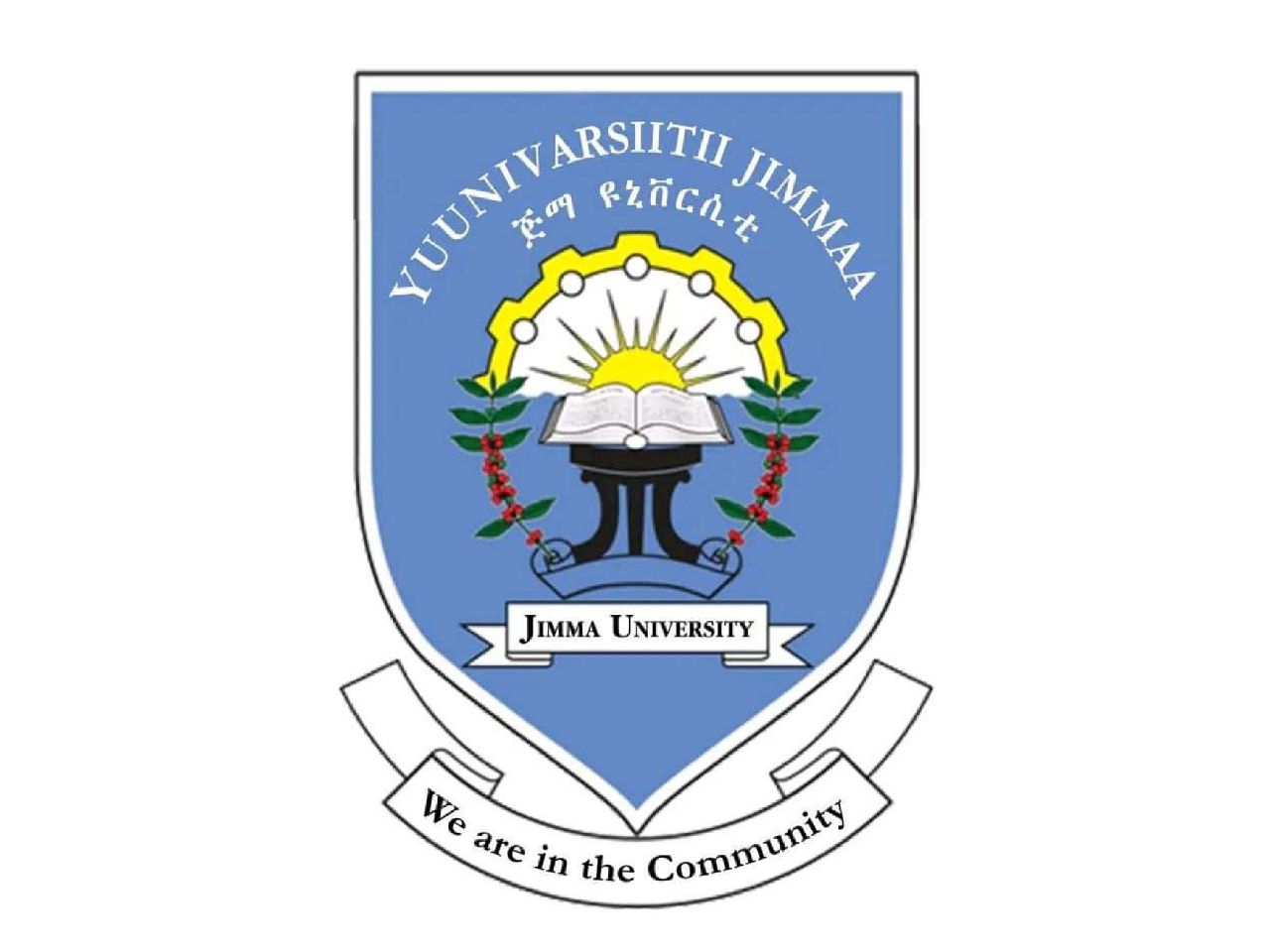 Jimma University